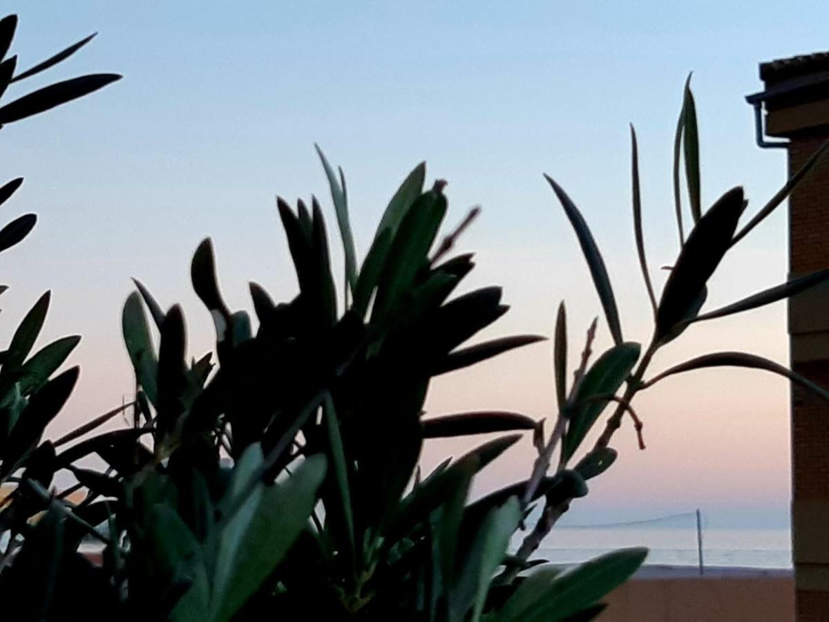 Terraza Y Playa Costa Tropical Apartment Торенуева Екстериор снимка