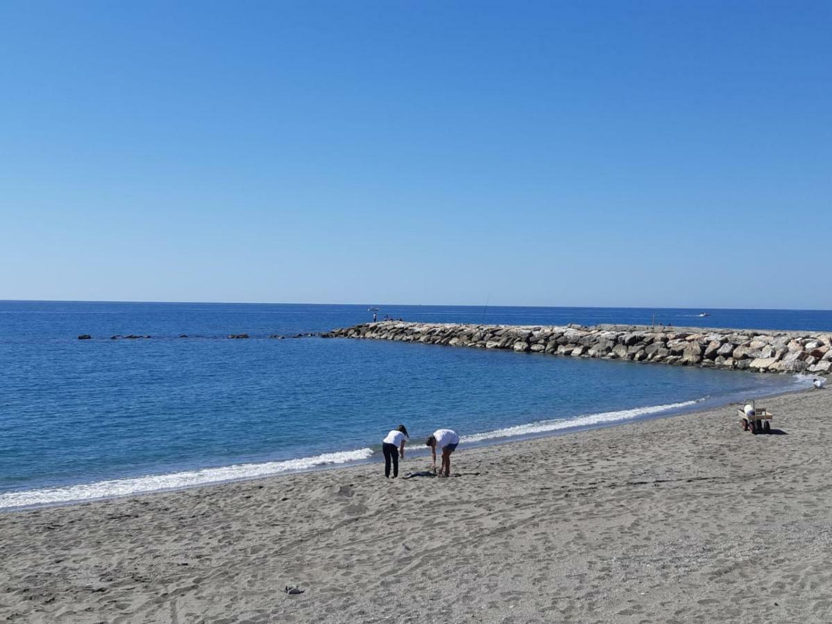 Terraza Y Playa Costa Tropical Apartment Торенуева Екстериор снимка